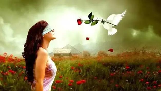 你是趁火打劫的父母吗 情感隔离的教育毁掉了多少孩子