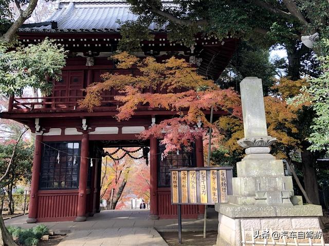德村志成：落葉殘楓依然美麗，久違北小金本土寺
