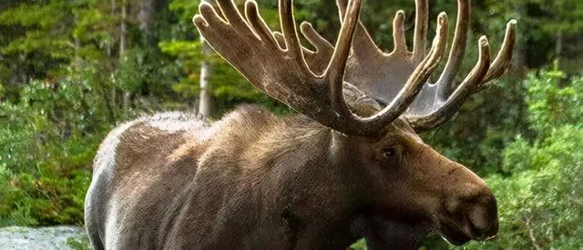 冬至：数九寒天一阳生，滋补暖胃御寒湿