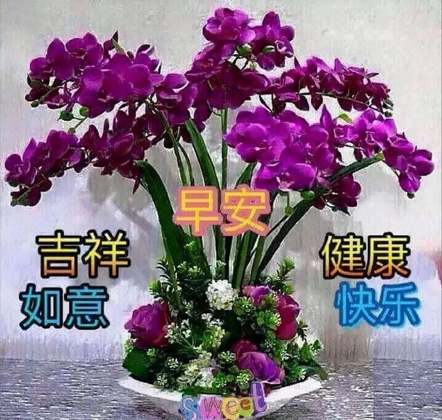 早安祝福语录精选，适合发朋友圈的温馨祝愿