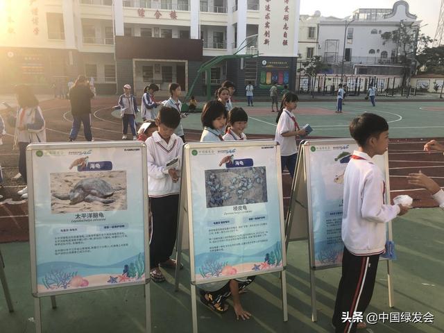 小学生海洋工程的展报