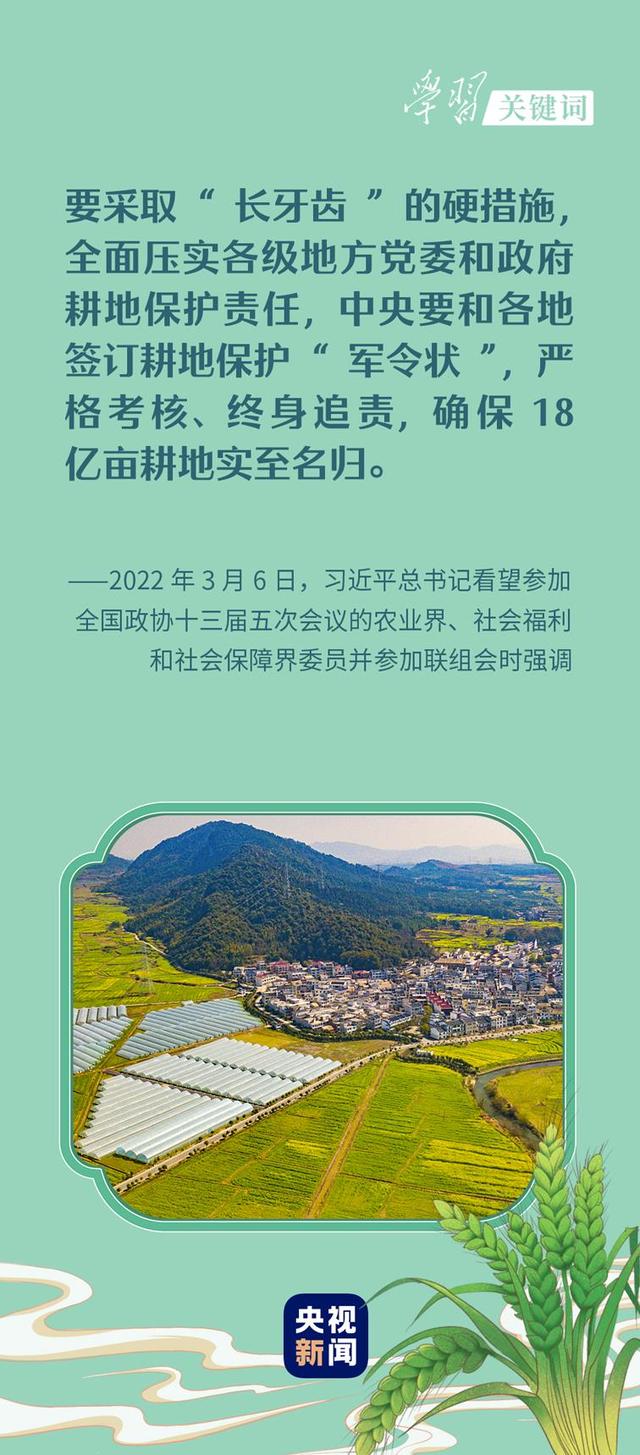 春事看农桑丨农田就是农田
