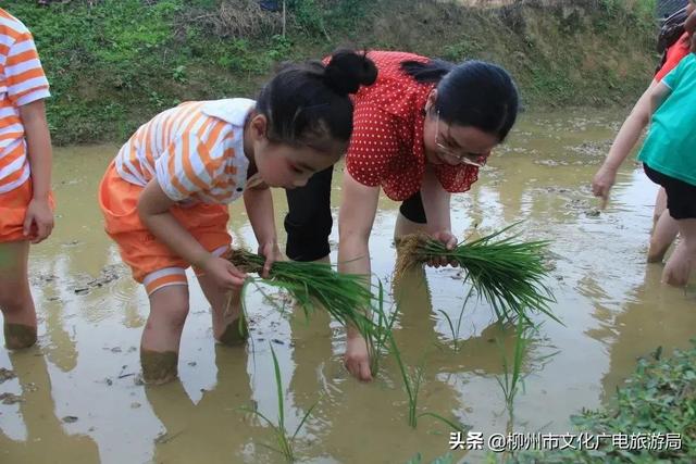 雙龍溝最全打卡攻略出爐，推給朋友絕對沒錯！