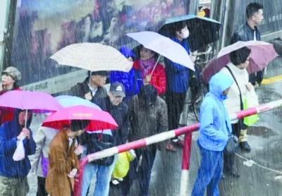 五月的小雨