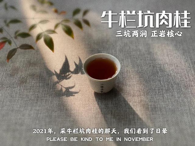 买茶名、买包装、买大全…4个常见的行为，都是买六大茶类的禁忌