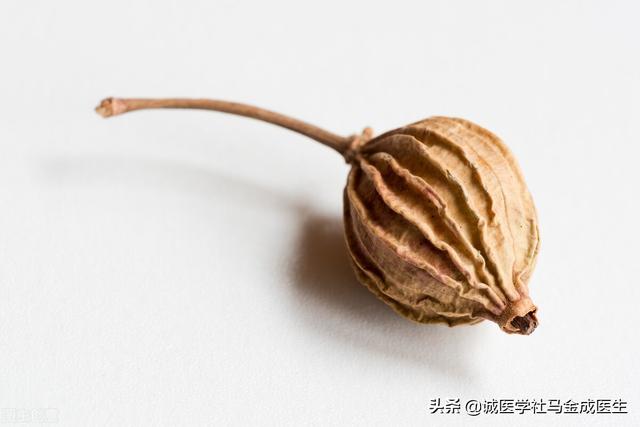 脾虚湿盛？肚子胀、痰多？几种健脾去湿的中成药告诉你如何区别