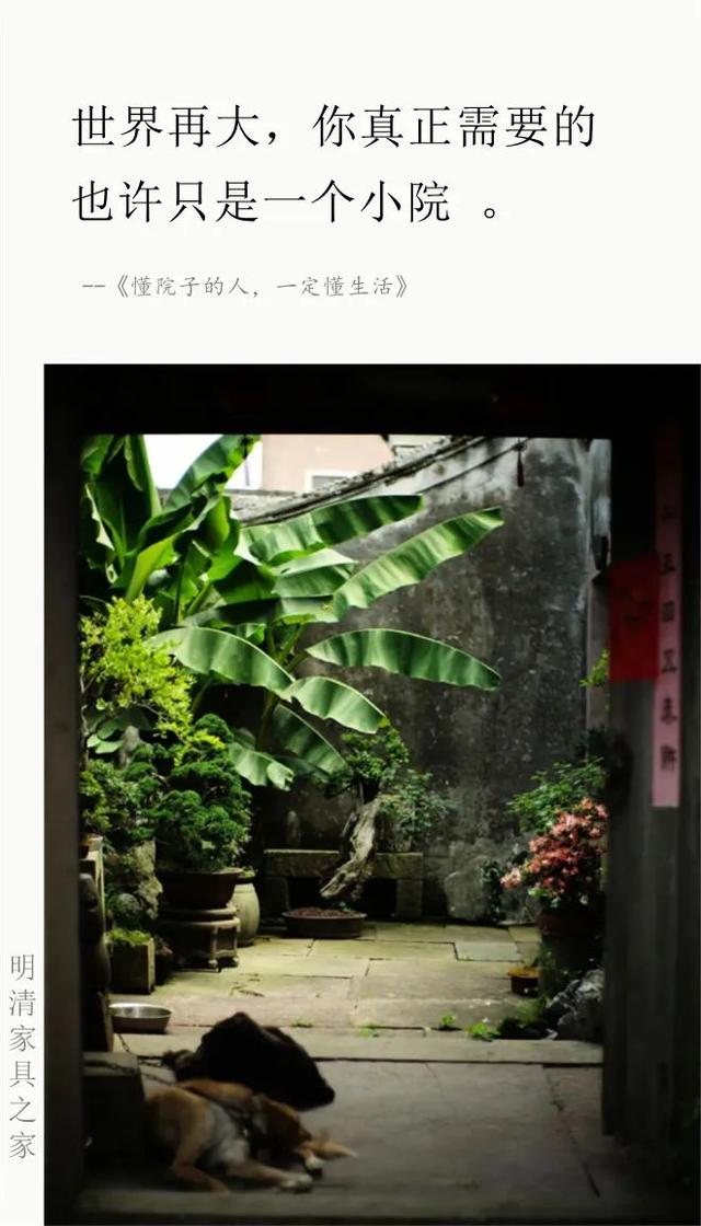 懂院子的人，一定懂生活