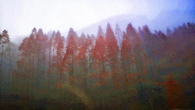 不是仙境，勝似仙境的地方——西鄉三花石
