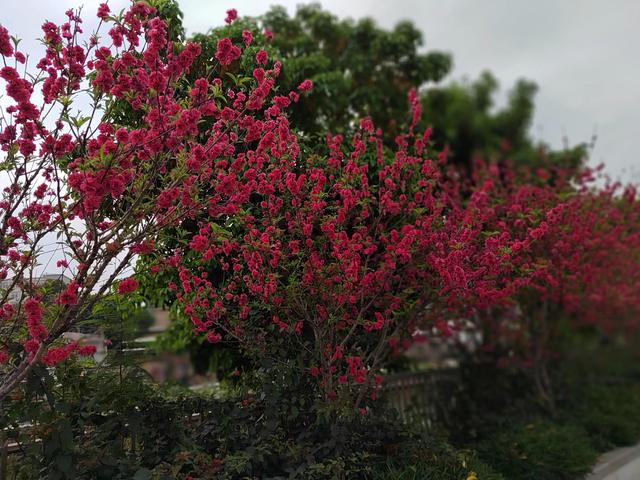 立夏修行德与才