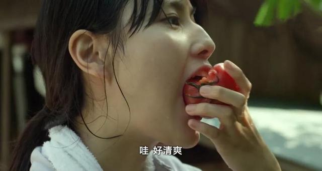 当我老了，择一处小院，养一片繁花，种一院小菜，慢慢终老