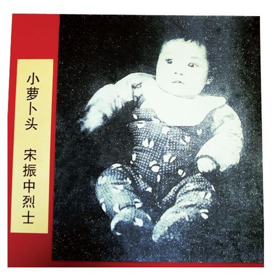 1949年耗时3个月，杨虎城遗体被找到，邓小平要求：换个好棺材