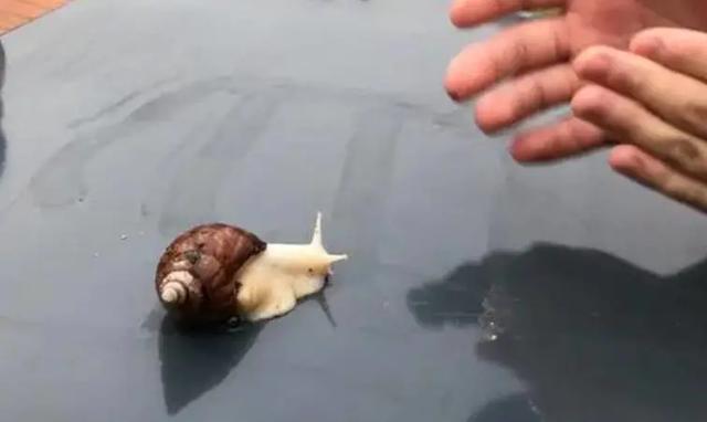 如何培养孩子的观察推理能力？这5个方法亲测有效