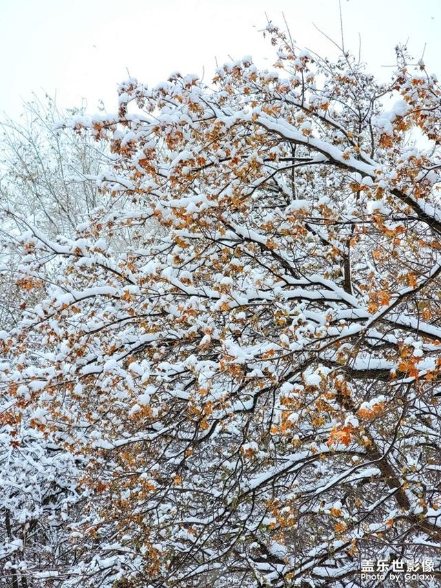 快来欣赏三星Galaxy S21 Ultra镜头下的东北辽宁最美雪景吧