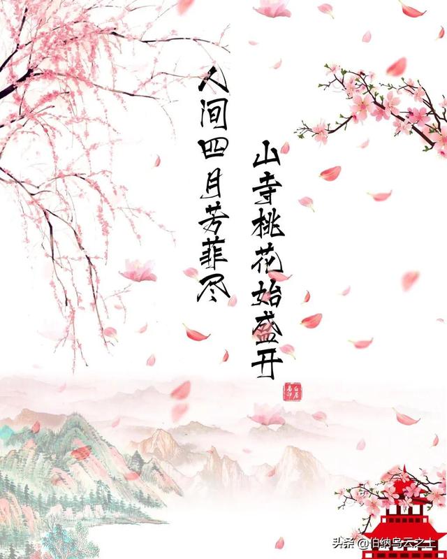 人间四月天：静候一树树花开，抓住春的尾巴，别有一番诗意