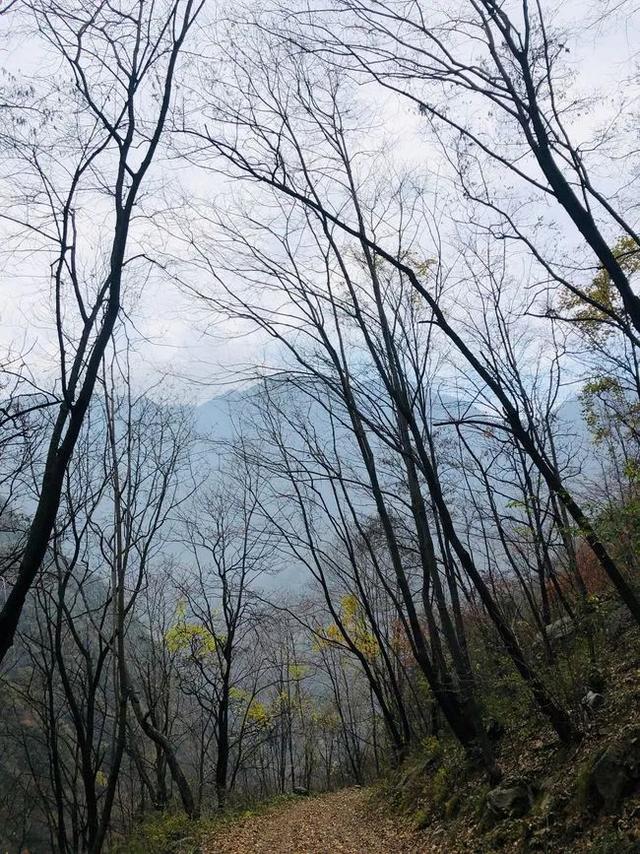高山之上，秦嶺終南山有個原本熱鬧的空中村落，也許即將永遠消亡