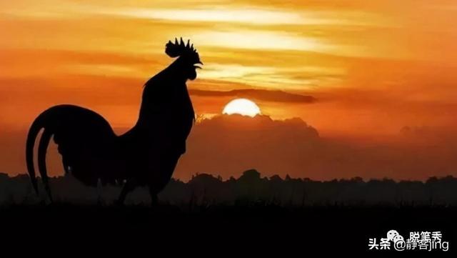 分享的价值和意义是什么，分享的价值和意义英文