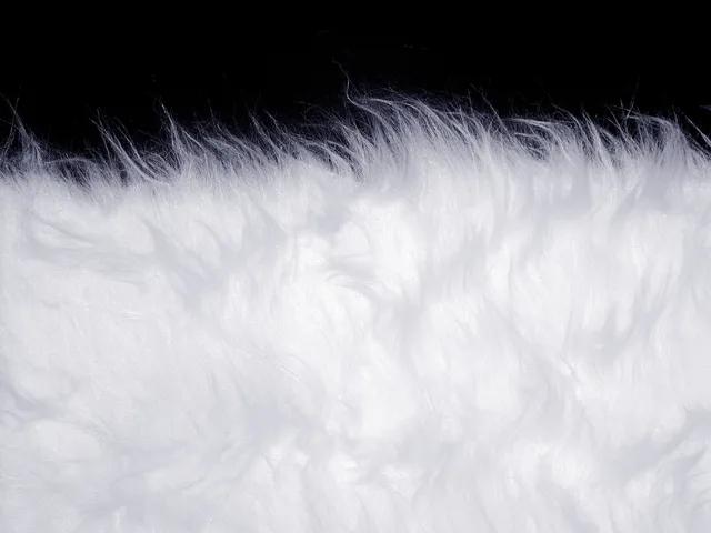 獭兔皮毛价格
