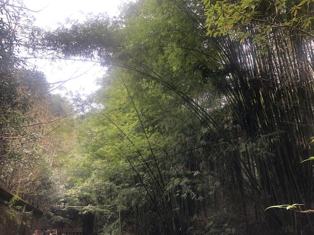 一不小心又成了夜遊~周末街子古鎮康道徒步到光嚴禅院~腳都走麻了