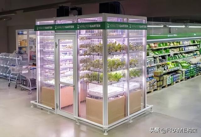 ​城市农业：“可以吃”的社区、超市变“农场”、鱼菜共生系统