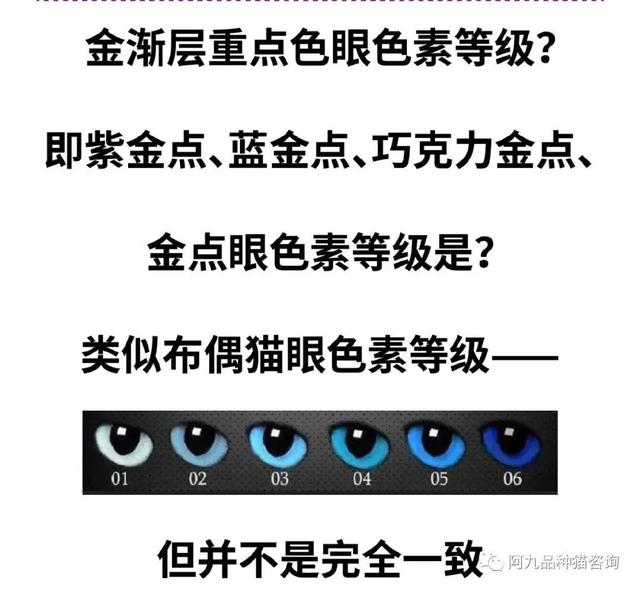 灰兔的眼睛是什么颜色