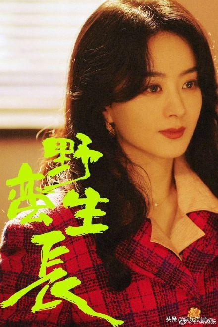 赵丽颖《野蛮生长》顺利杀青，作者更是大有来头，期待新剧播出