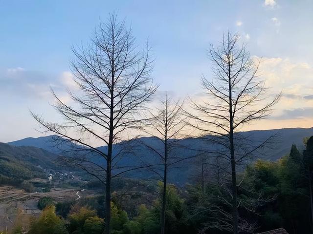 杨绛：人生下半场，阅己，越己，悦己