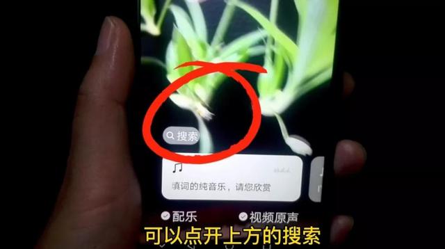 [小辣椒多少钱]，苹果录屏怎么把歌曲录进去