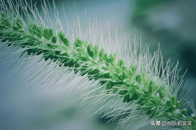 随笔——一些杂乱的思绪