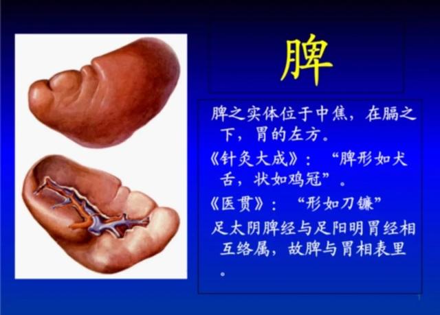 心惊肉跳是什么意思(心惊肉跳的心惊是什么意思)-涪州汇