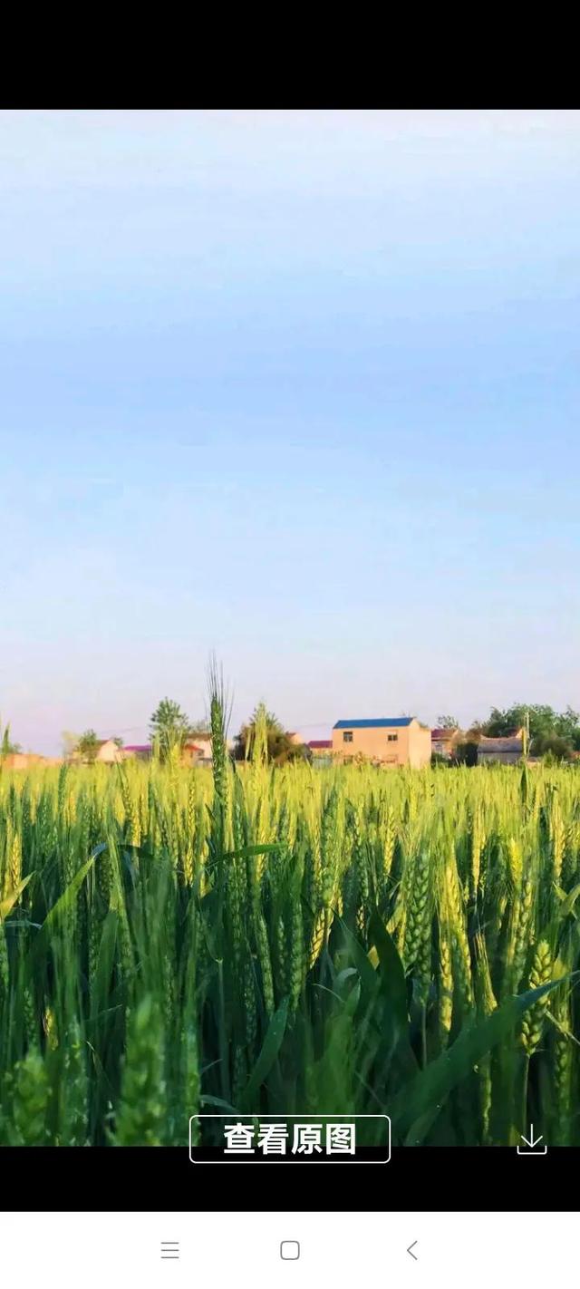 难忘故乡情