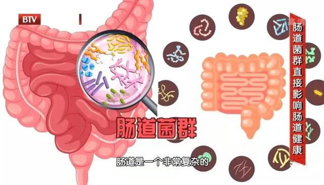 益生菌、益生元、合生元，到底该怎么吃、怎么选？