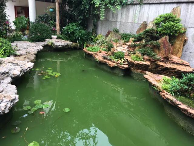污水真空转鼓过滤机价格