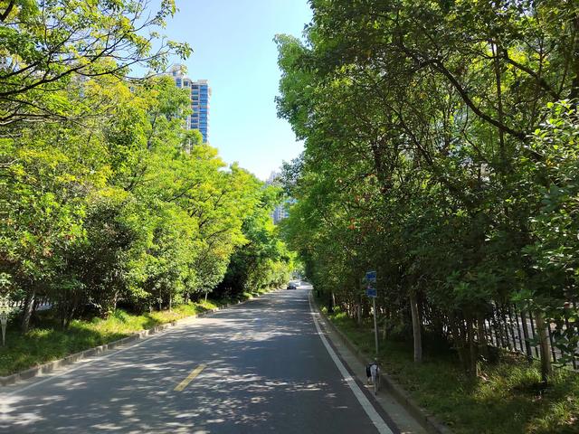 《今日立夏》