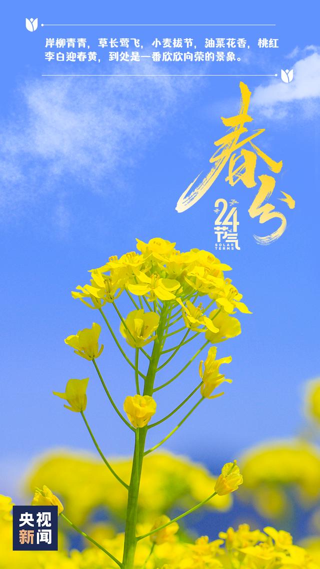 今日春分，莫负好时光！