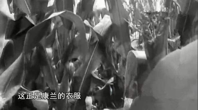 邯郸石粉洗砂机二手