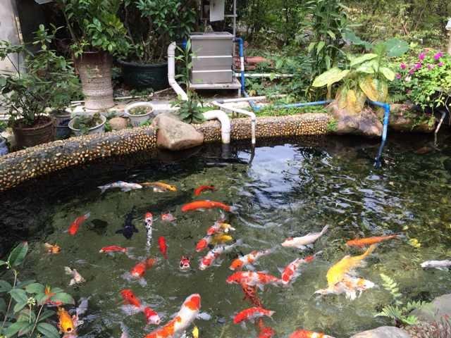 滚筒式鱼池过滤机结构图