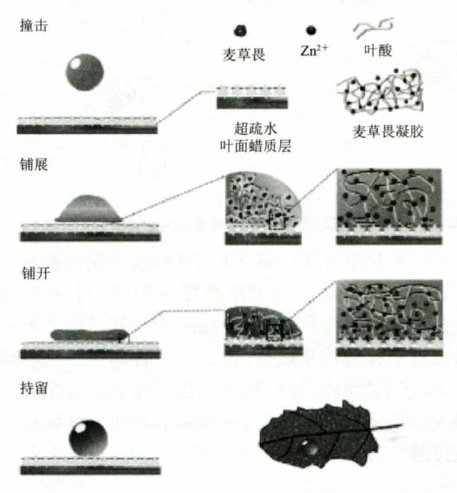 手动喷雾器