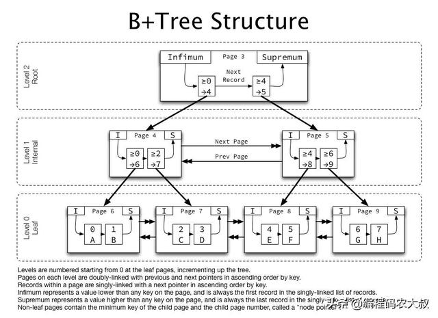 B+tree 一种为数据查询而生的结构