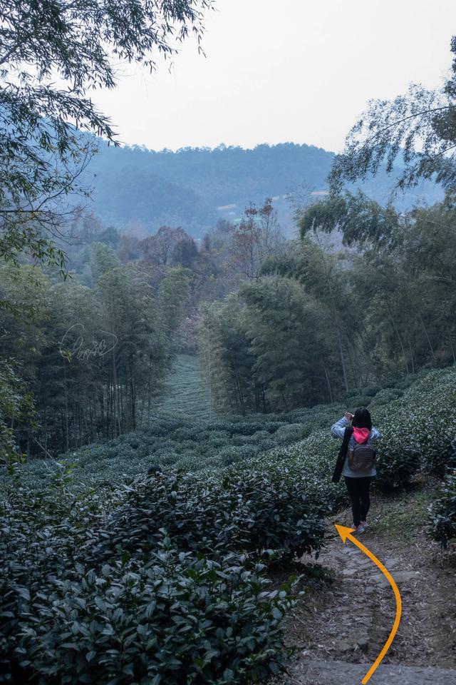 杭州登山徒步路線17：野路有趣，但不建議盲目去爬