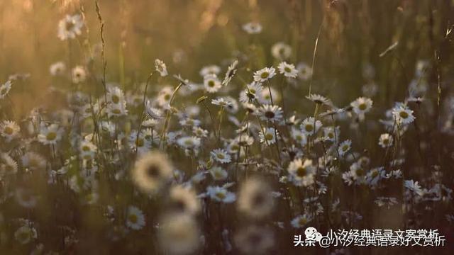 “生活就是每天吃一颗糖，然后告诉自己：今天的日子果然又是甜的