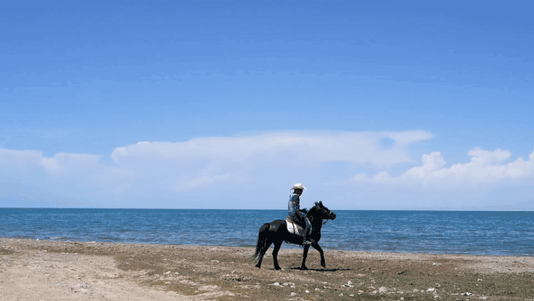 https://blog.sina.com.cn/s/blog_9766a3620102yz26.html