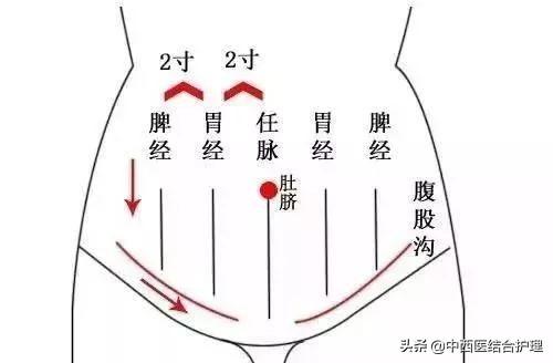「腹部养生」一切慢性疾患，都可以在腹部找到相应的阻滞点