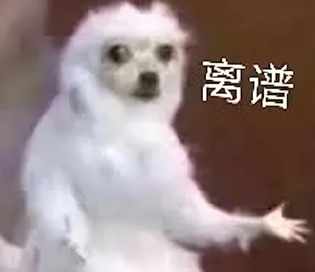 倒计时3天！moto新机再预热：512GB要对得起良心