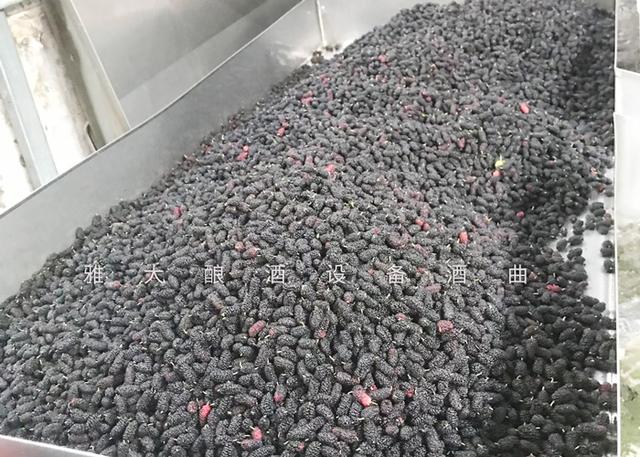 辽宁省果酒浑浊过滤机