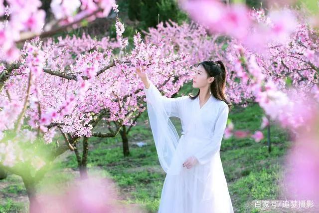 梦中那一片桃花林