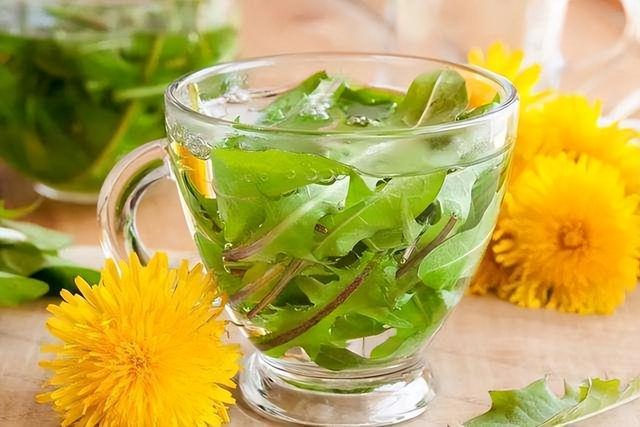 长期喝蒲公英泡水，身体会收获啥好处？提醒：5类人最好别凑热闹