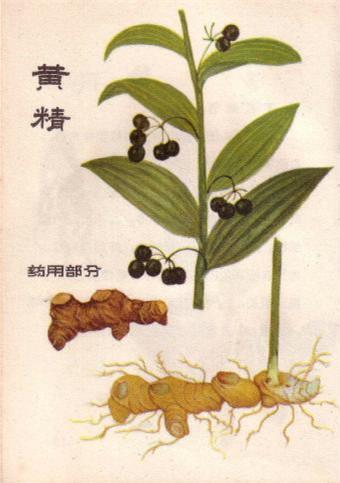 分享一则糖尿病、常用临床验方——降糖散