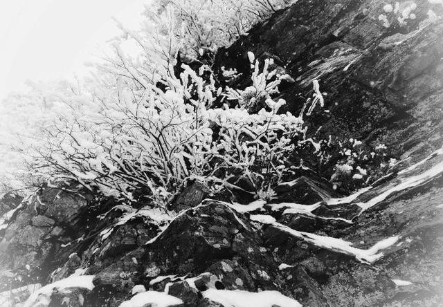 秦嶺古道探秘：水墨義谷古道
