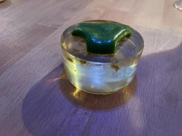 外國博主吐槽最糟米其林，27道奇葩菜，還要從主廚嘴裏舔著吃