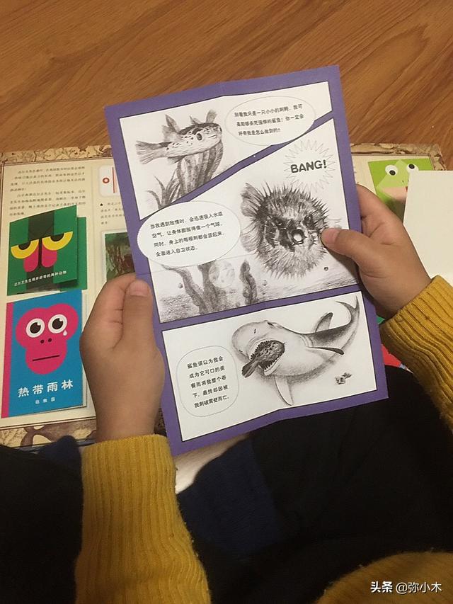 让孩子跟达尔文一起环球旅行，感受丰富旅途，挖掘思考的力量